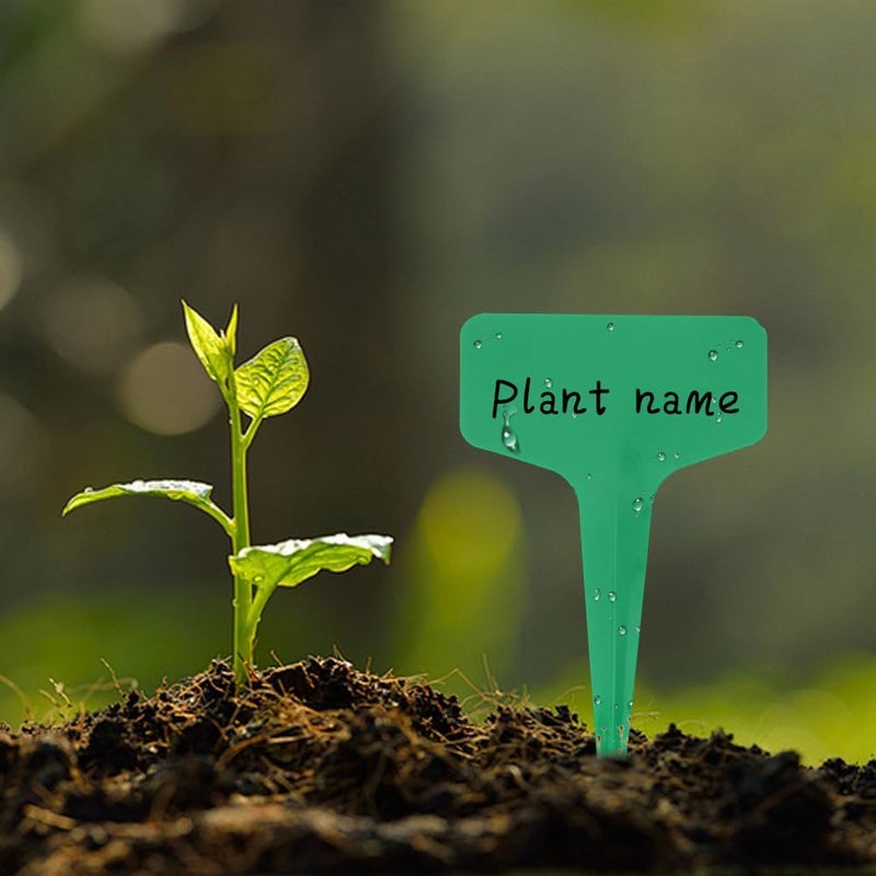 Bluckincle Plant Labels,200pcs Plant Name Tags,Green Plant Markers,Gardening Supplies,Garden Labels Outdoor Waterproof,Garden Markers,Plastic Plant Labels for Seedlings,Greenhouse Accessories,Plant Nursery - Image 3